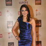 Celebs at 18th Annual Colors Screen Awards